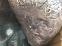长期运行工况下,影响力士乐油泵耐用性的关键因素